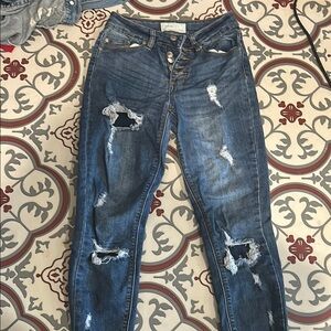 American Eagle Outfitters Blue Skinny Distressed Jeans